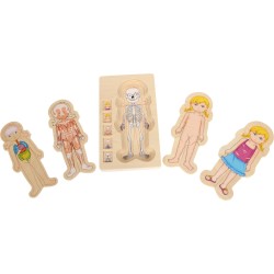 Puzzle Anatomie