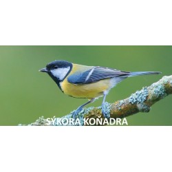 Budka pro sýkoru koňadru