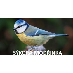 Budka pro sýkoru modřinku